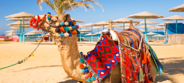 Ägyptische Sonne: 7 Tage Marsa Alam im 4* Hotel mit All Inclusive, Flug & Transfer nur 368€