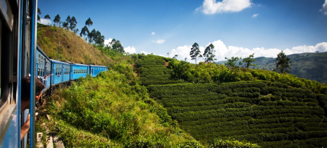 Sri Lanka Tipps: Eine Entdeckungsreise durch die Perle des Indischen Ozeans