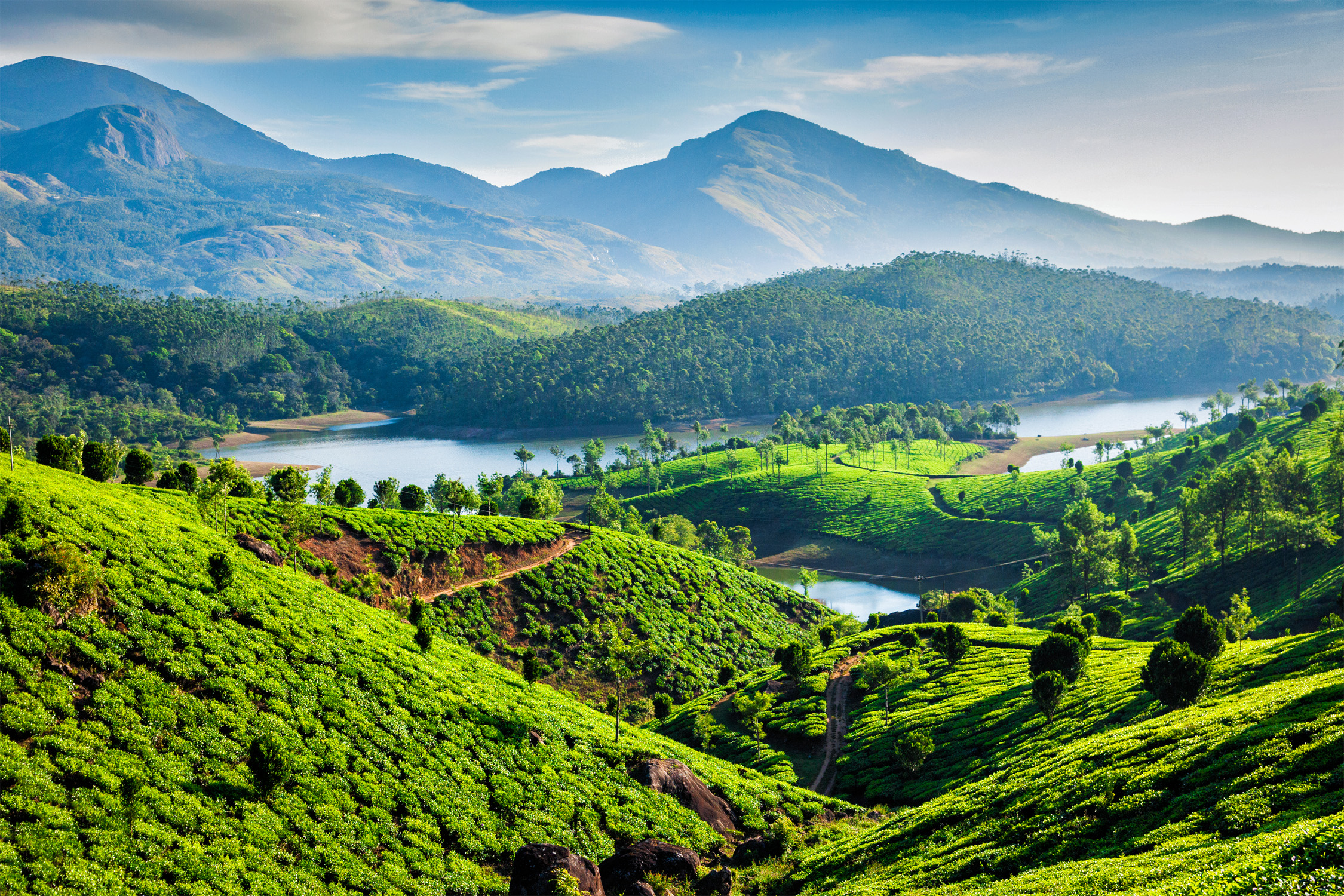 Kerala In Indien Die Top 12 Sehenswurdigkeiten Urlaubstracker At