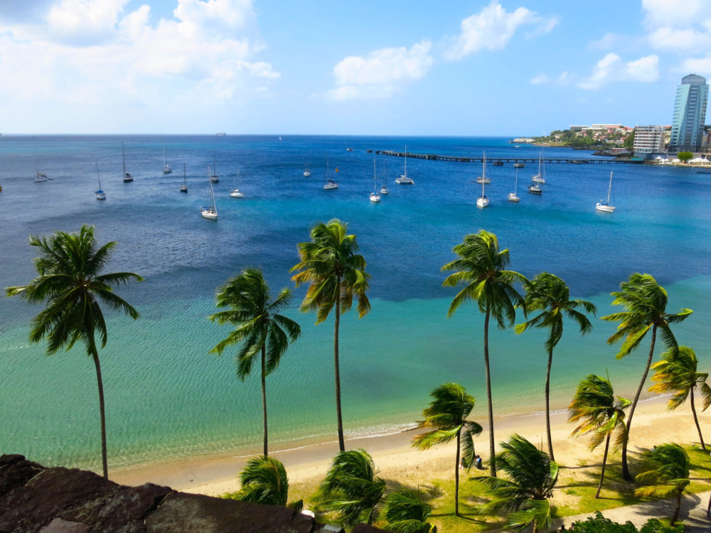 Martinique Strand Palmen