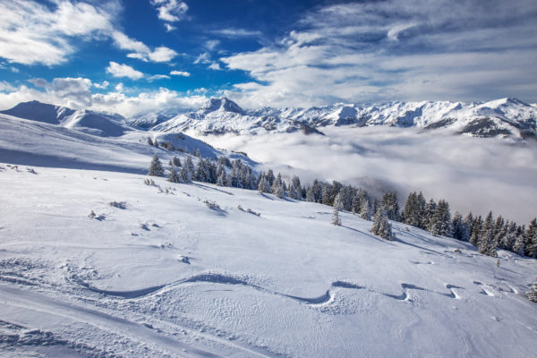 Österreich Kitzbühel Skifahren