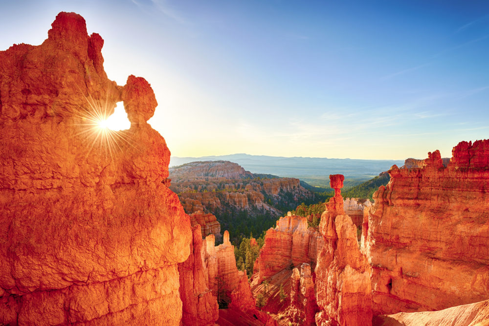 USA Bryce Canyon Felsen