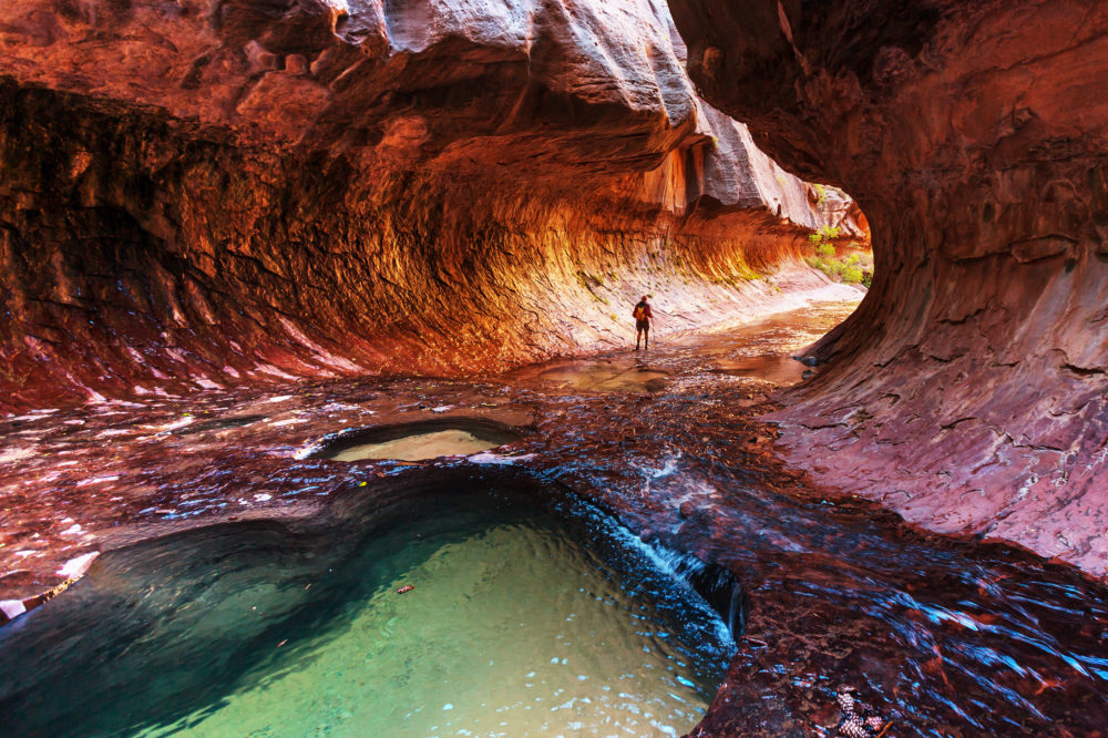 USA Utah Zion Nationalpark