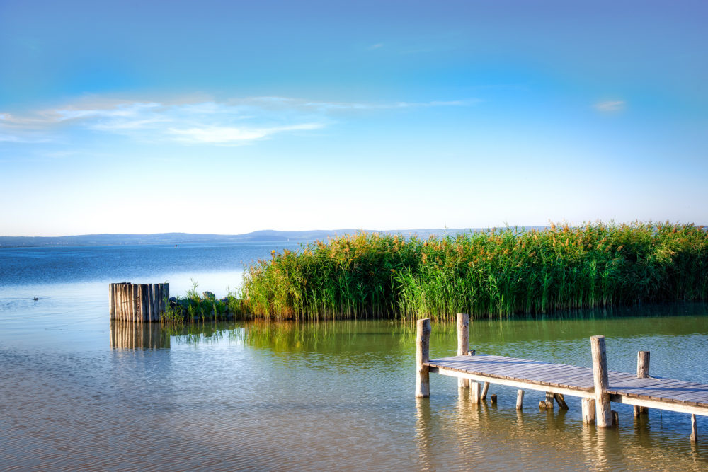 Österreich Burgenland Neusiedler See