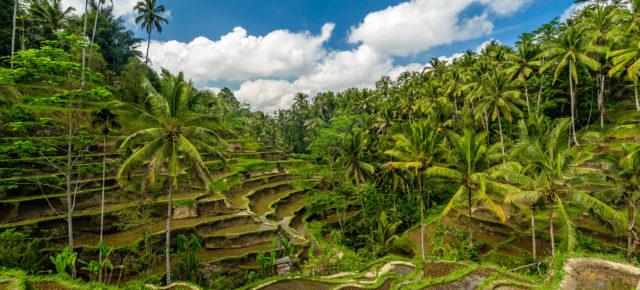 Traum auf Bali: 15 Tage im TOP 4* Hotel mit Frühstück, Flug & Transfer für 1074 €