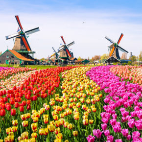 Blumenparadies: 2 Tage Amsterdam im Premium-Hotel inkl. Frühstück & Keukenhof Tickets für nur 79€