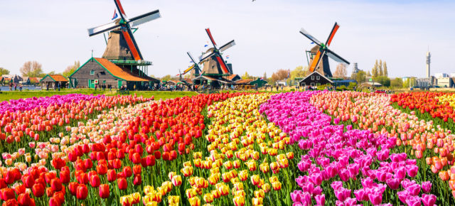 Blumenparadies: 2 Tage Amsterdam im Premium-Hotel inkl. Frühstück & Keukenhof Tickets für nur 79€