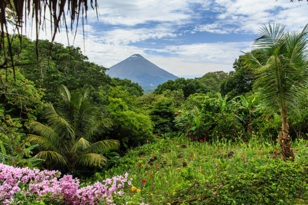 Nicaragua Ometepe Natutr