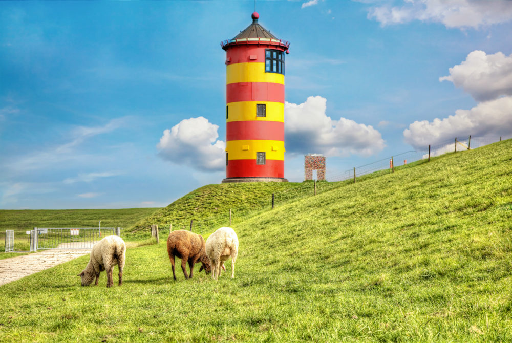 Nordsee Leuchtturm Pilsum Schafe