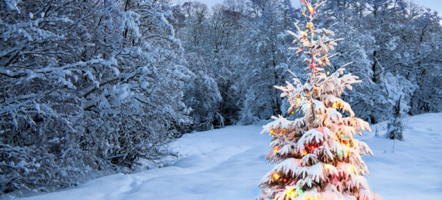 Weihnachten in Schweden: Diese Bräuche & Traditionen gehören zum schwedischen Fest