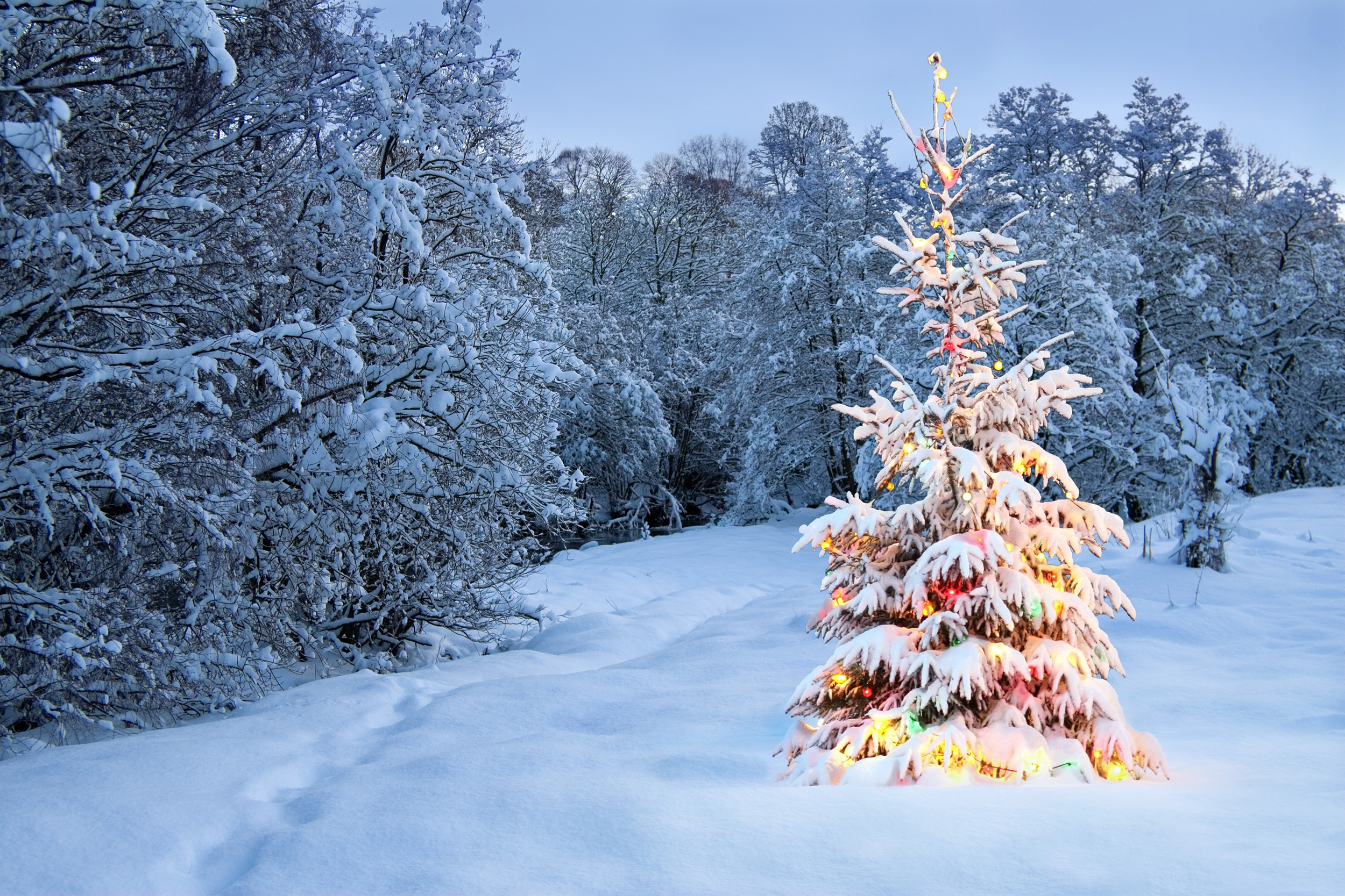 Weihnachten In Schweden Diese Brauche Traditionen Gehoren Zum Schwedischen Fest Urlaubstracker At