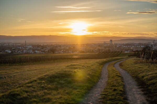 österreich eisenstadt wanderweg